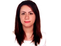 Nasibeh Saffari Gunnebo Cash Management