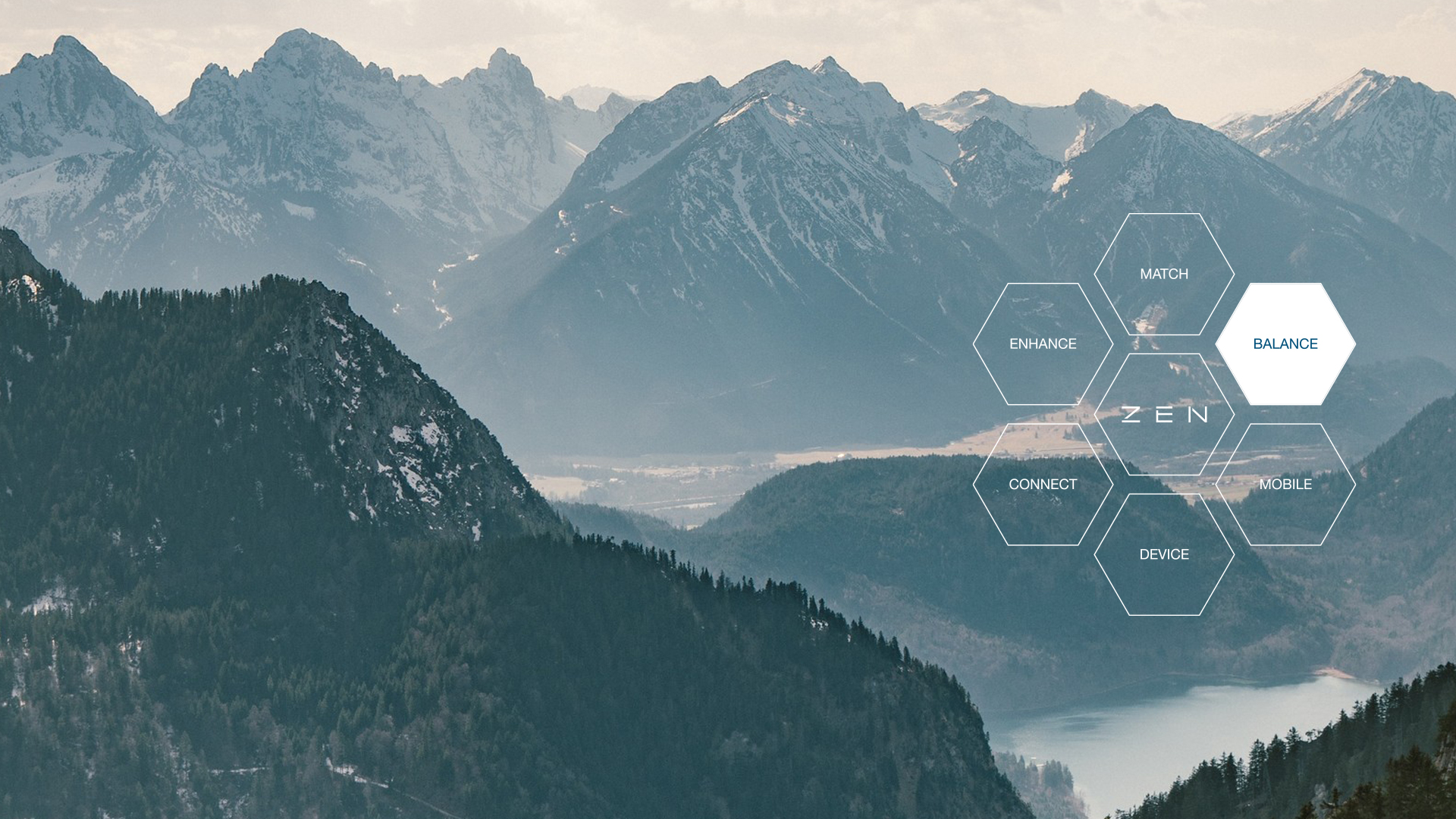 Zen cash management software for finances